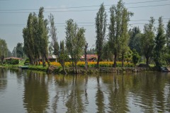 Xochimilco-Ciudad-de-Mexico12