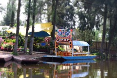 Xochimilco-Ciudad-de-Mexico6
