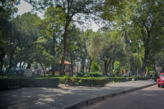 Xochimilco-Ciudad-de-Mexico9