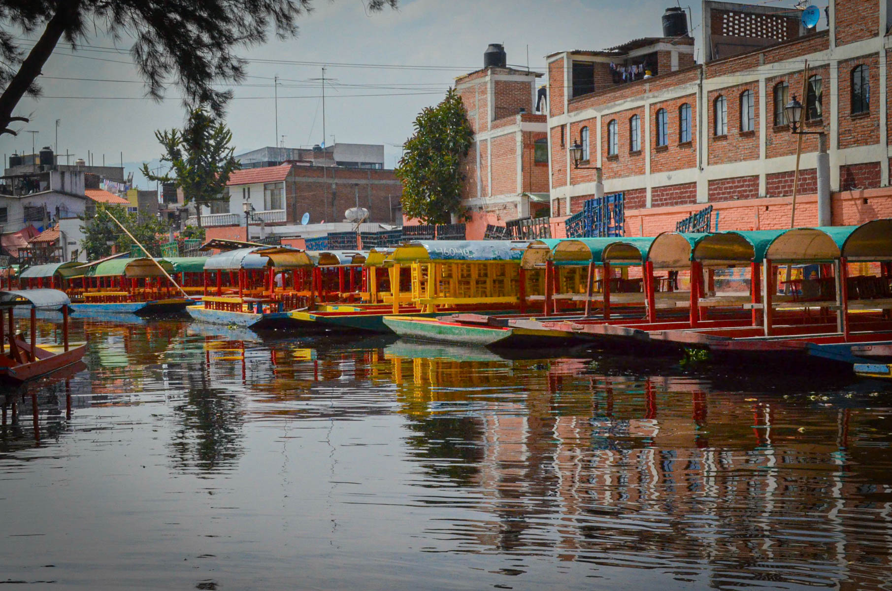 A line of many trajineras in Xochimilco in Mexico city